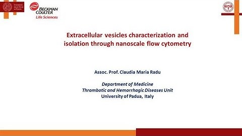 Extracellular vesicles characterization and isolation through nanoscale flow cytometry