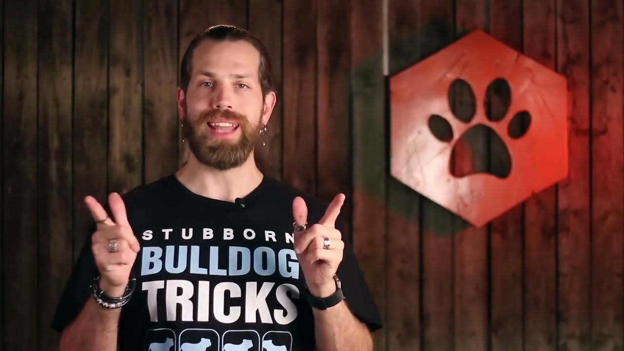 How to Pick Safe Chew Toys for Puppies A Guide for Pet Parents