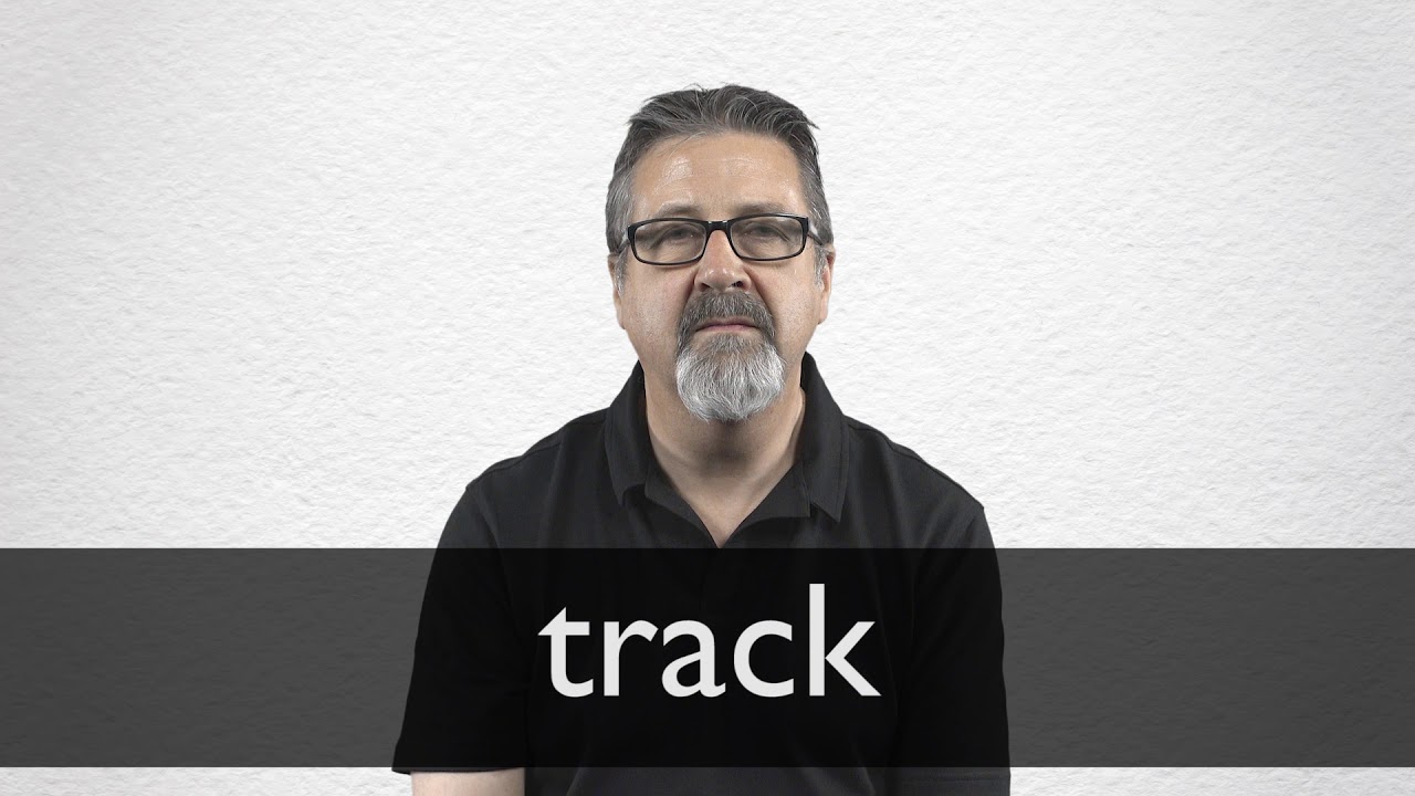 track - Bengali Meaning - track Meaning in Bengali at