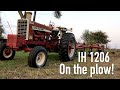 Hay field removal with the IH 1206 and 5 bottom plow