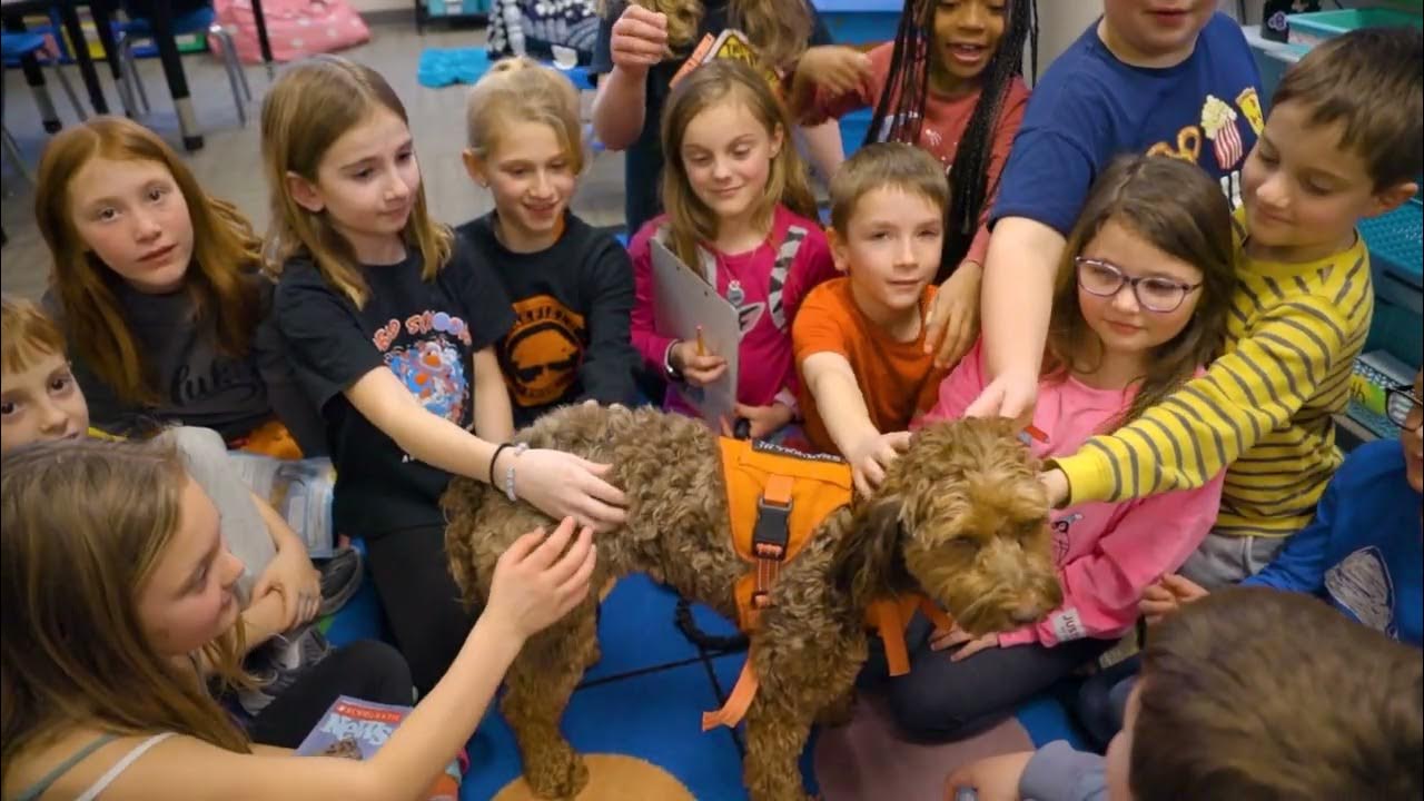 School District of Oakfield Open Enrollment Video 2023 YouTube