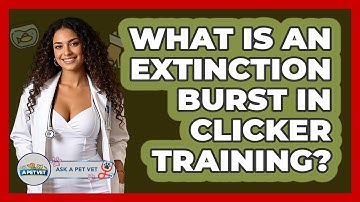 What Is An Extinction Burst In Clicker Training? - Ask A Pet Vet