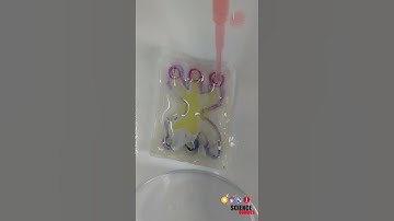 How to Make Your Own Microfluidic Device #stem #sciencebuddies #biotechnology #biochemistry #science