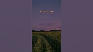 علي جابر - سورة الشعراء
