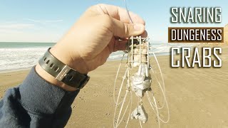 Crab Snaring from the Surf using Squid