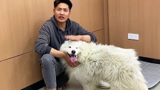 “Very Happy Now”A Stray Dog Who Was Imprisoned By His Owner And Cried For Help Smiled Happily