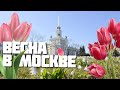 Весна в Москве: где погулять с любимыми и почему именно там?