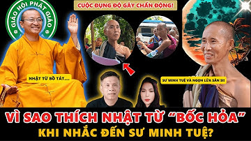 Không thể tin nổi! Vì sao Thích Nhật Từ “bốc hỏa” khi nhắc đến Sư Minh Tuệ?