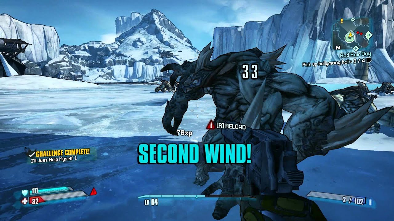 Borderlands 2 Bad Hair Day
