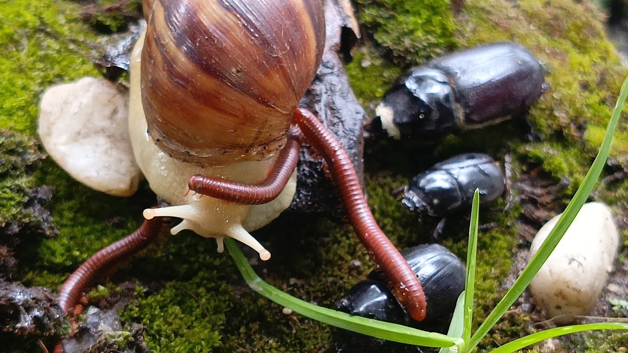 The Impossible Trio: A Rare Friendship That Shouldn't Exist 