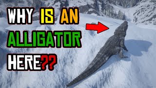 Alligator at the top of the Mount HAGEN in Red Dead Online (Naturalist Photo Challenge)