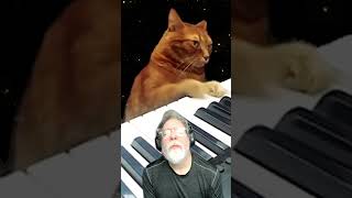 I'm giving #life control to my #cat @HansZimmer #catzimmer #sunday #syth #cats in #space