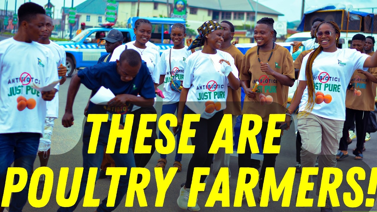 The Poultry Farm Changing Africa Forever (Part 1 of 2) #antibioticfree ...
