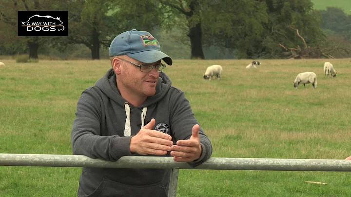 Sheepdog Trial Interview. Int'l Sup. Ch. Ricky Hut...
