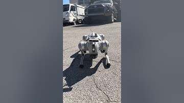 🐾 Meet Our New ASL Robo Dog!