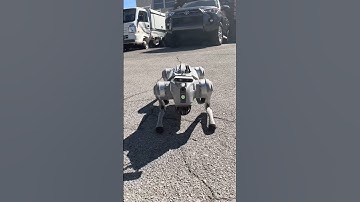 🐾 Meet Our New ASL Robo Dog!