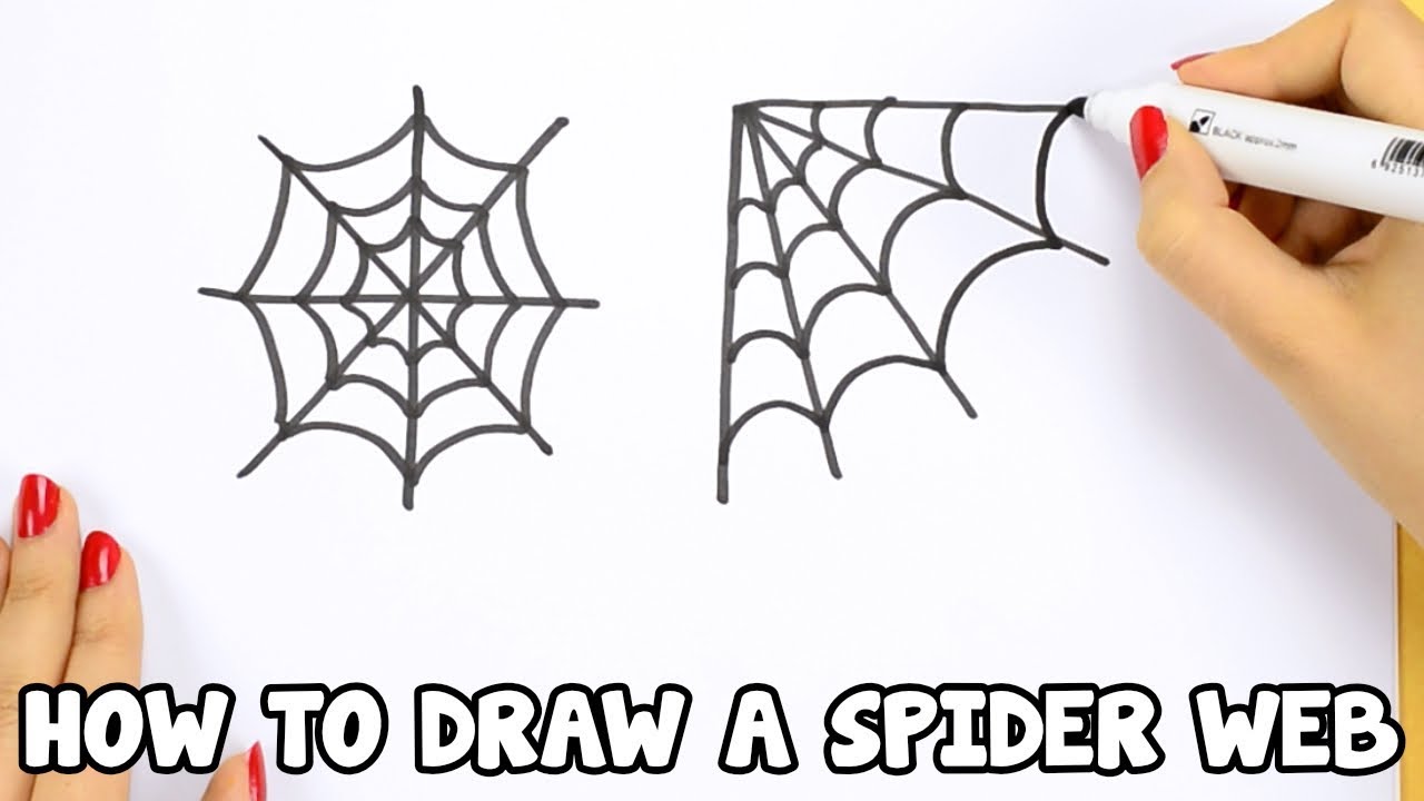 How To Draw a Spider Web Step by Step