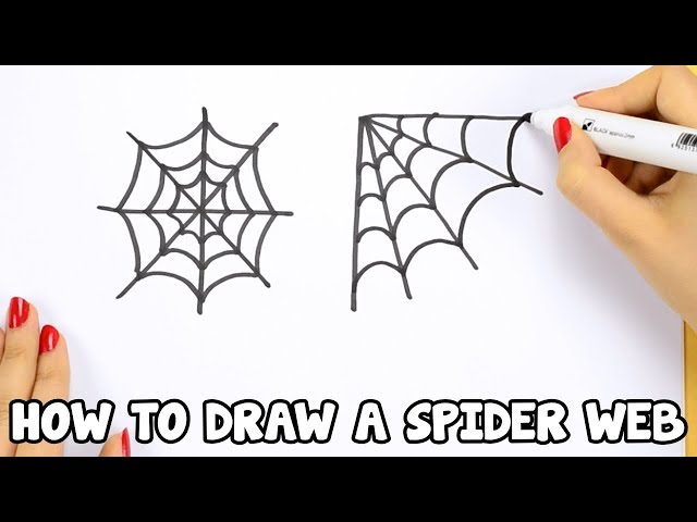 How To Draw a Spider Web Step by Step