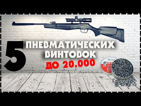 Топ 5 Пневматических Винтовок До 20000