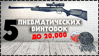 Топ 5 Пневматических Винтовок До 20000