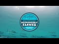 Behind The Scenes: Responsibly Farmed Seafood l Whole Foods Market