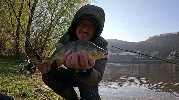 Окунь сошёл с ума! Отводной работает лучше всех!