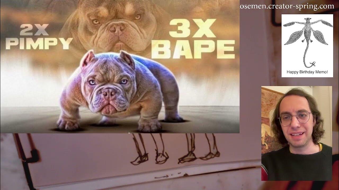 2x-pimpy-3x-bape-youtube