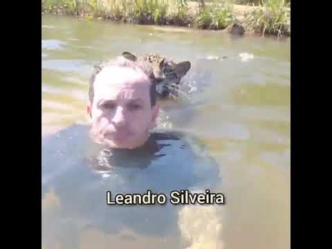 Vídeo: Levando Para Casa Na Estrada Para Seguir O Pó [VID] - Rede Matador