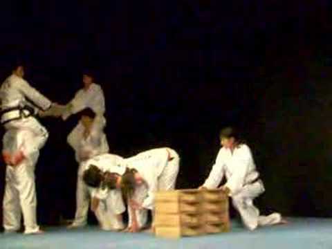 Exhibicin de Taekwondo - (Escuela Center)