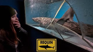 Ce requin est mort ici ?!! | URBEX screenshot 2