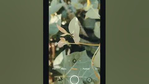 Redmi k20 pro Live Photography / How to shoot micro photography with your smartphone