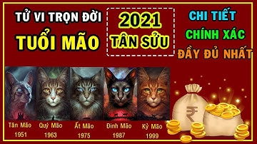 Tử vi trọn đời tuổi Mão năm 2021 Tân Sửu - Chi tiết đầy đủ chính xác nhất