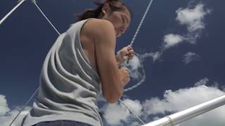 Unique Moments - Sailing And Dolphins