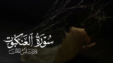 تلاوة سورة العنكبوت للقارئ أنس المالك من ليالي رمضان ١٤٤٤
