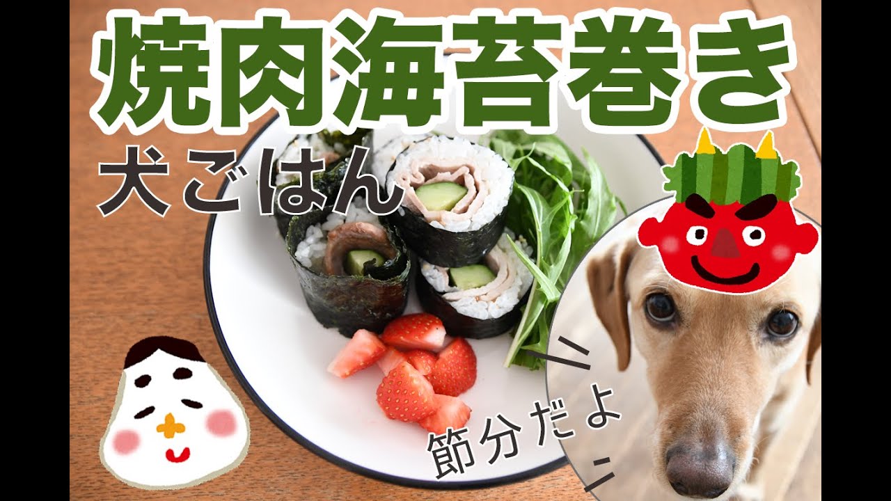 犬の節分ごはん 焼肉海苔巻き 犬の手作りごはん簡単レシピ Youtube