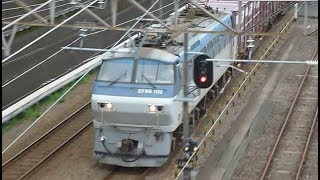 [警笛あり]EF66形102号機牽引 貨物列車24両編成 武蔵野線 新秋津駅付近通過