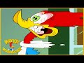 Woody Woodpecker Show | Signed, Sealed, Delivered | 1 Hour Compilation | Cartoons For Children