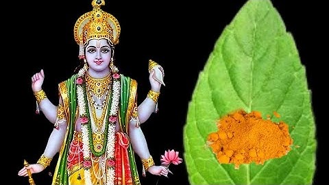 03 सितंबर परिवर्तनी एकादशी के दिन तुलसी के पत्ते और हल्दी वाला उपाय जरूर करें बनोगेPradeep Ji Mishra