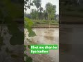 Khet Mei Kadhher 8 07 2022 Khet Mei Kadhher 8 07 2022