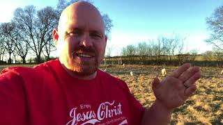 Why Do I Have Sheep? #lessonsfromsheep #EnjoyTheShepherd