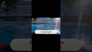 Never Too Young Or Old To Learn To Swim