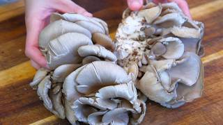3 Minute Recipe  Oyster Mushroom Side Dish (Tastes Better Than Meat)