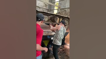 Tim cây gỗ cẩm hồng khủng kính 2,2m sẽ thế nào | Sơn Sập Gỗ