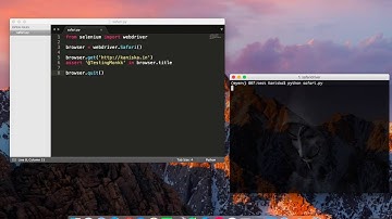 Run WebDriver in Safari 10