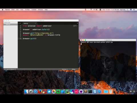 Run WebDriver in Safari 10