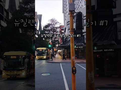 #뉴질랜드 #유치원교사 일기 #7 #vlog #해외취업 #브이로그