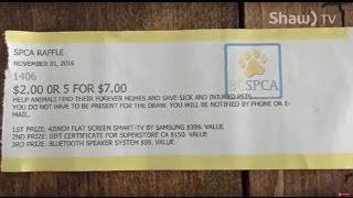 Nanaimo SPCA Raffle Ticket Scam