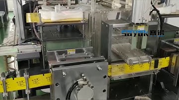 Automatic disposable gloves folding+ packaging production line PE gloves folding packing line