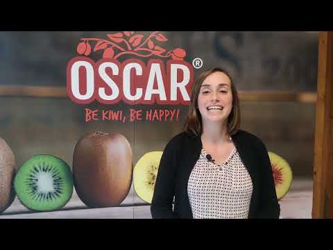 Boite à Images Formations - Témoignages décembre 2021