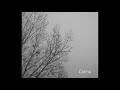 07 Voces de otra vida y otro lugar (Carlos Aguirre) Álbum: "Calma"
